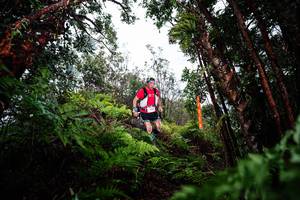 BIB: 
                            <button type="button" onclick="openModal(26203708)" class="btn btn-primary btn-sm float-right btn-popup" data-toggle="modal" data-target=".modal-high-quality">
                        <i class="fas fa-shopping-cart"></i> Add to Cart
                    </button>
                                            <button type="button" onclick="isThisMe(26203708, true)" class="btn btn-success btn-sm float-right btn-popup btn-isme hidden" data-toggle="tooltip" data-placement="bottom" title="นี่คือรูปของคุณใช่ไหม คลิกที่นี่เพื่อเอาเข้าอัลบั้ม">
                        <i class="fas fa-plus"></i> Add to album
                    </button>
                    <button type="button" onclick="isThisMe(26203708, false)" class="btn btn-warning btn-sm float-right btn-popup btn-isnotme hidden">
                        <i class="fas fa-ban"></i> Remove from album
                    </button>